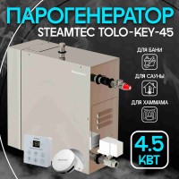 Steamtec TOLO KEY 45 - 4,5 кВт (стандартный модуль управления), парогенератор для хамама и турецкой бани